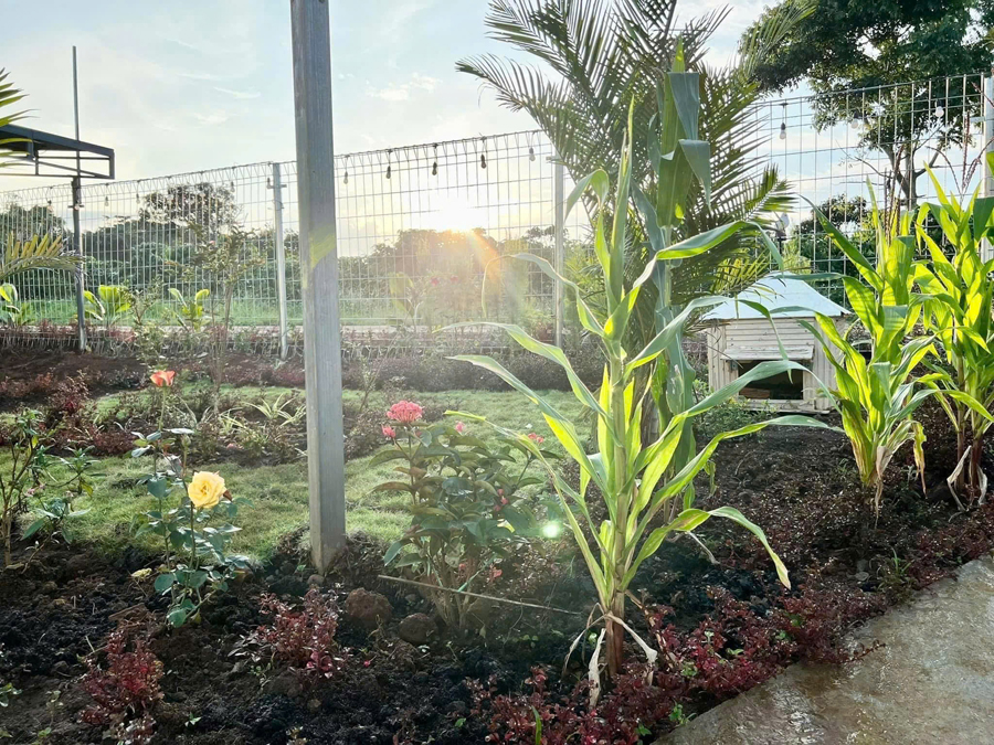 Sân vườn homestay ở Tà Đùng