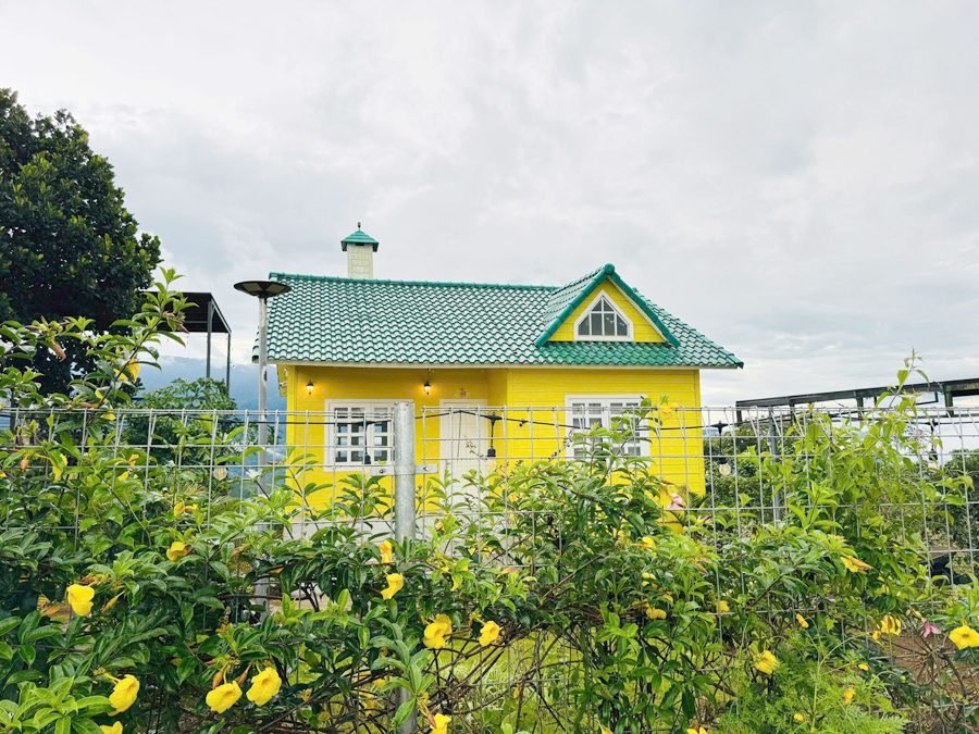 Căn nhà vàng giữa vườn cây